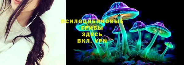 ГАЛЛЮЦИНОГЕННЫЕ ГРИБЫ Михайловск