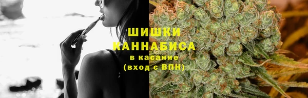 ГАЛЛЮЦИНОГЕННЫЕ ГРИБЫ Михайловск
