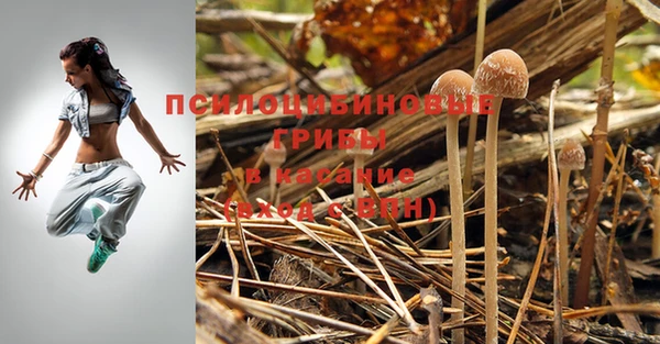 альфа пвп Медвежьегорск