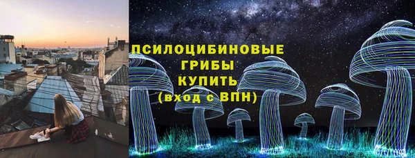 бошки Мегион
