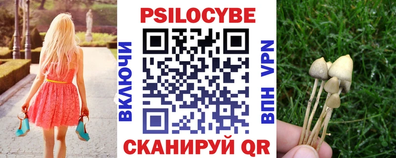 Галлюциногенные грибы прущие грибы  Богданович 