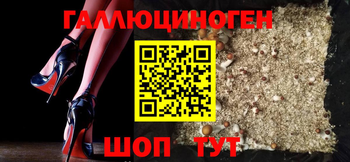 Богданович  Галлюциногенные грибы Cubensis  Вход с VPN 