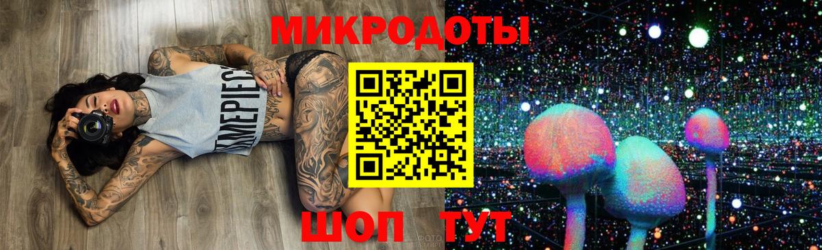 Галлюциногенные грибы Cubensis  Богданович  Псилоцибиновые грибы GOLDEN TEACHER 