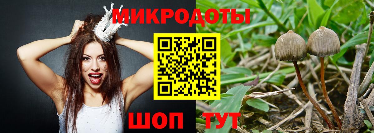 Псилоцибиновые грибы MAGIC MUSHROOMS Богданович
