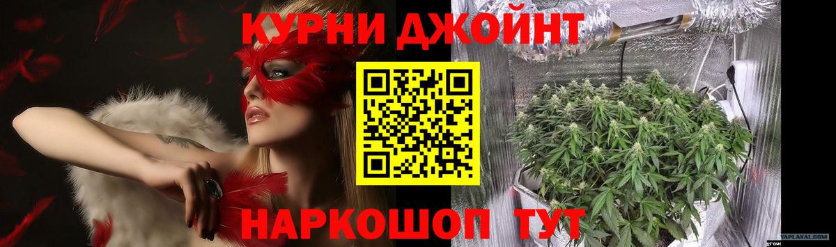 Каннабис сатива Богданович